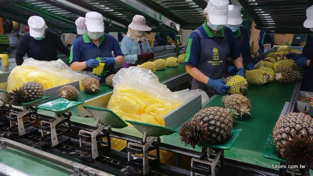 台灣鳳梨宅配日本包裝